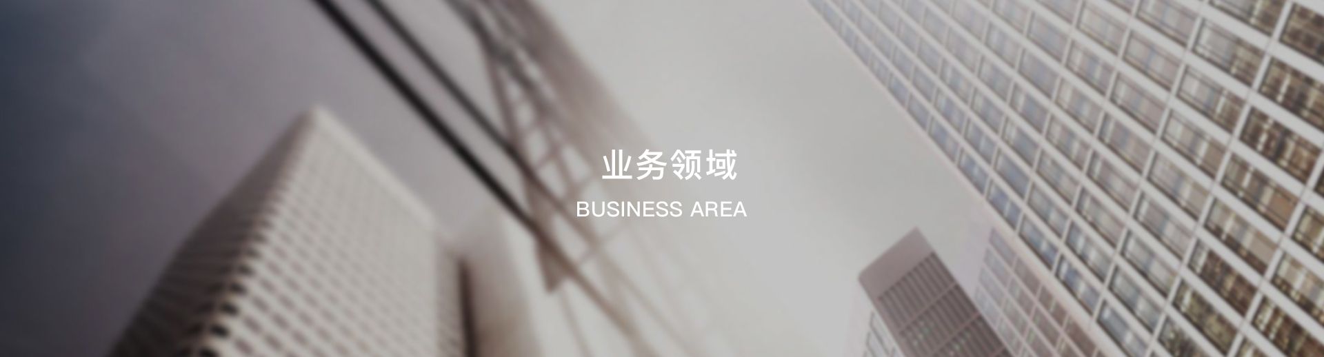 綜合服務(wù)