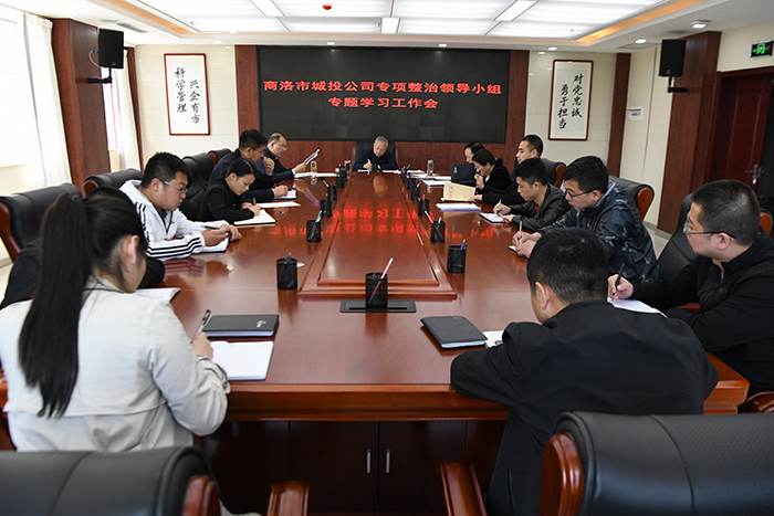 市城投公司專項(xiàng)整治領(lǐng)導(dǎo)小組召開專題學(xué)習(xí)工作會