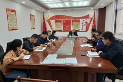 公司第二支部開展“戴黨徽、亮身份、亮標(biāo)準(zhǔn)、亮承諾、展先鋒”主題黨日活動