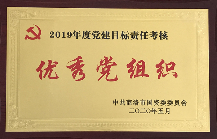 公司2019年黨建目標責(zé)任考核獲上級表彰