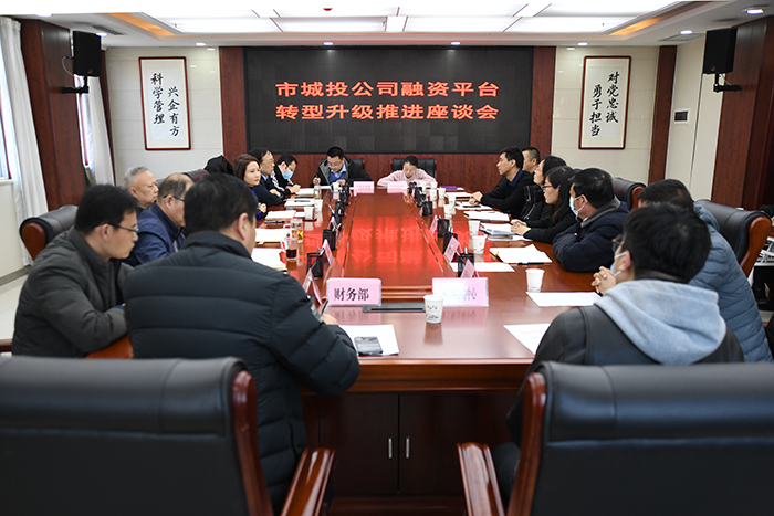 市國資委在公司召開融資平臺(tái)轉(zhuǎn)型升級(jí)推進(jìn)座談會(huì)